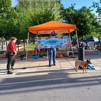 Images Paragon Pups LLC