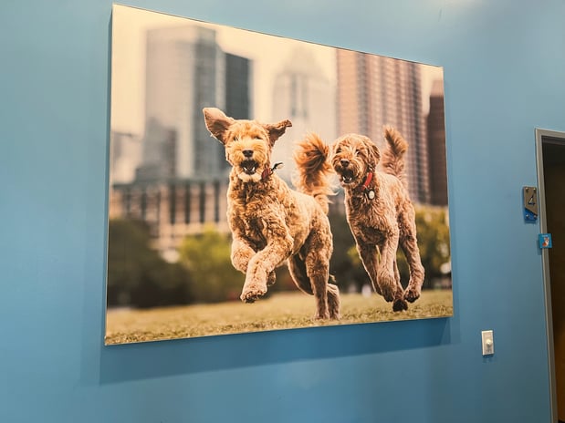 Images Vetco Total Care Animal Hospital