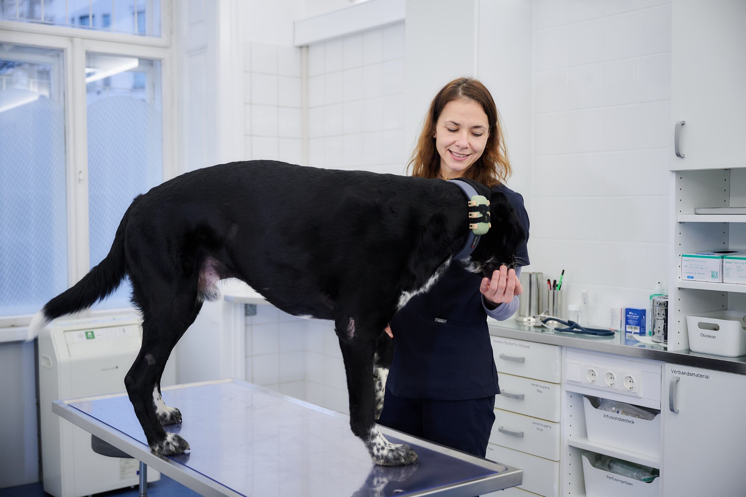 Bild 2 von Tierarztpraxis Vorgartenstraße