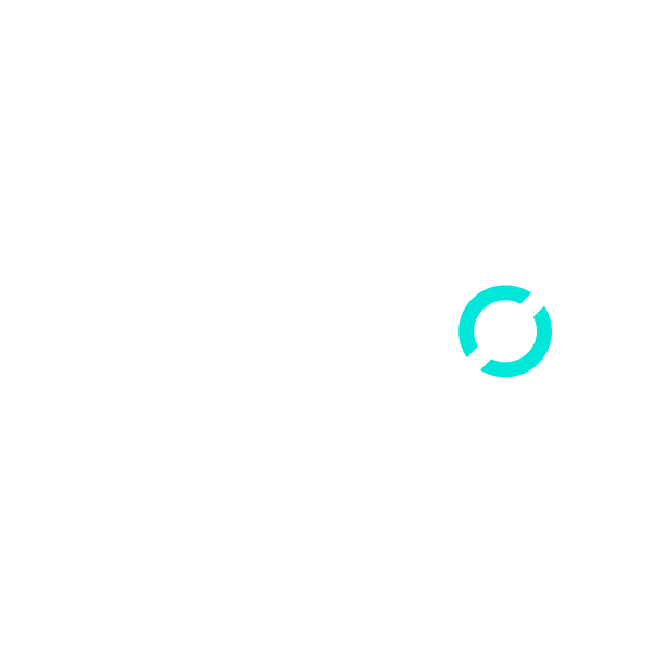 Logo NESTOR Security