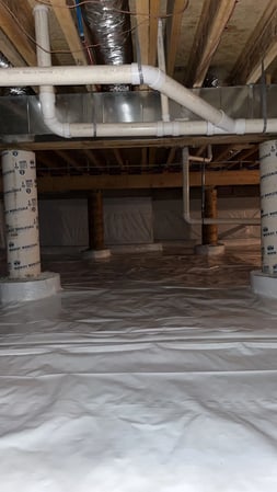 Images Midwest Mold Specialist LLC