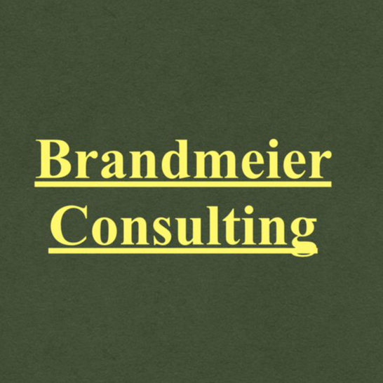 Brandmeier Consulting in Regensburg - Logo