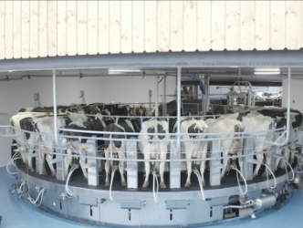 Aubry Sacco Farm SA Vuisternens-devant-Romont, Route de Romont 17 in Vuisternens-Devant-Romont