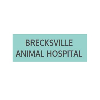 Brecksville Animal Hospital Logo