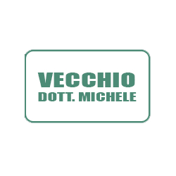 Prof.  Vecchio Michele Logo