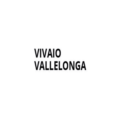 Vivaio Vallelonga Logo