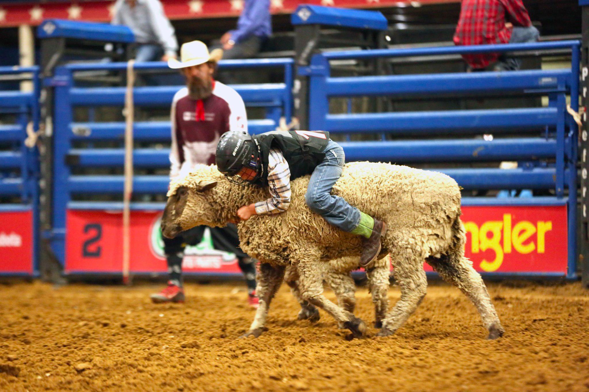 Mesquite Championship Rodeo Photo