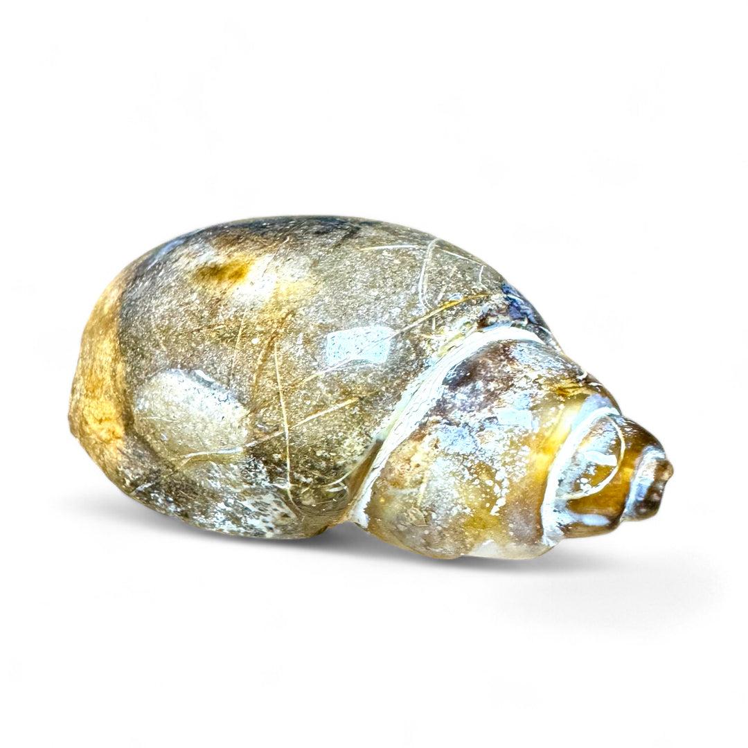 Images Crystals & Reiki
