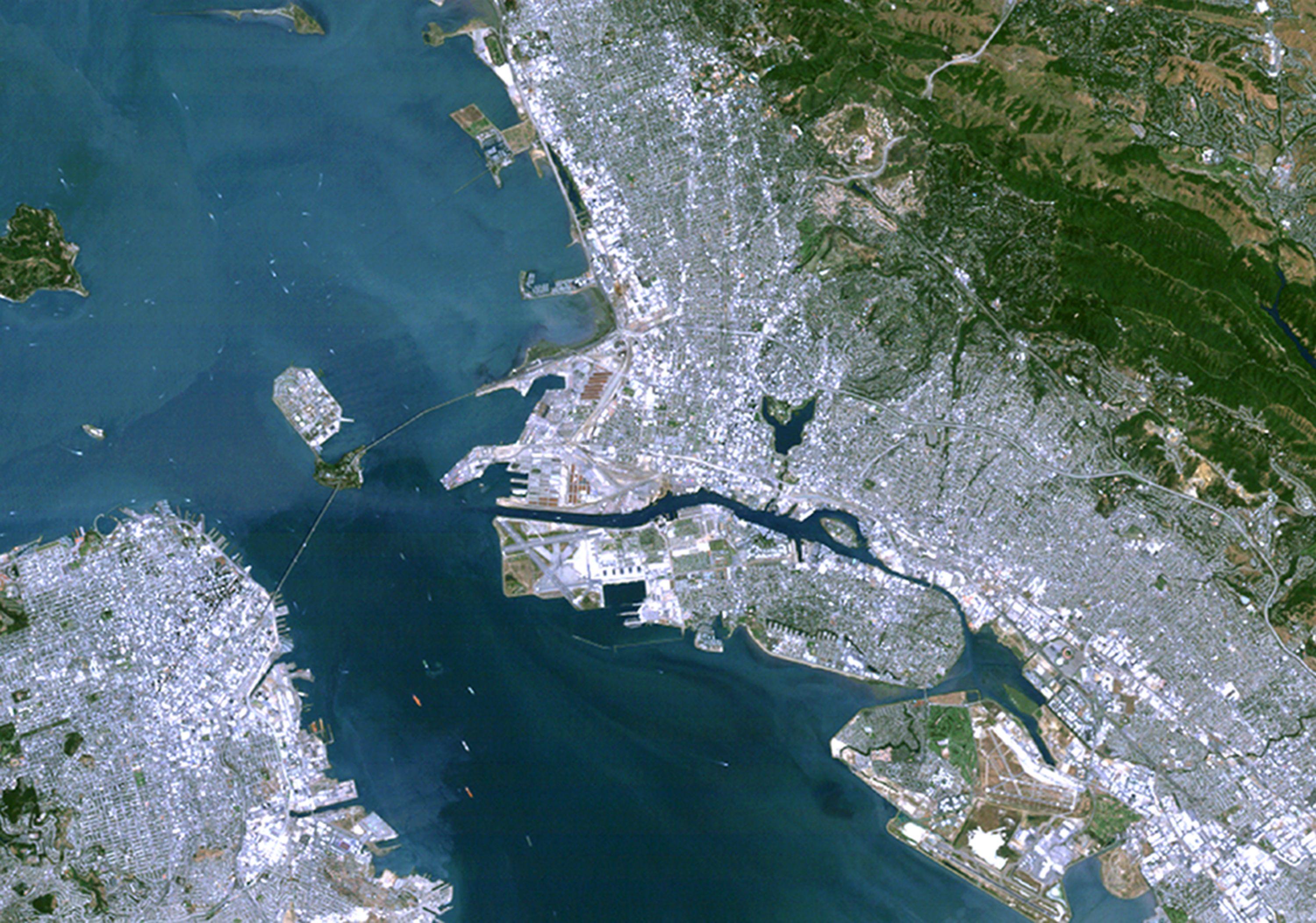 Bayside Real Estate