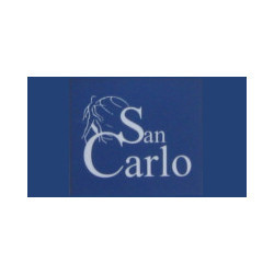 Ambulatorio Polispecialistico San Carlo S.r.l. Logo