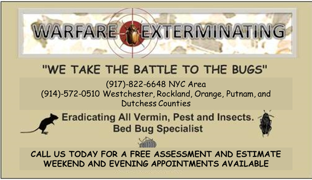 Images Warfare Exterminating