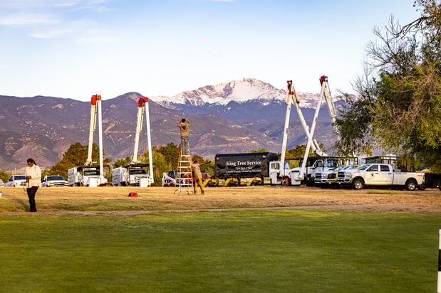 Images King Tree Service