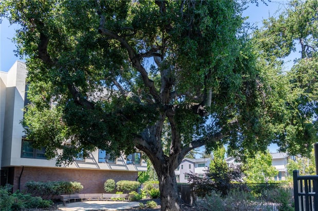 Images Homewood Suites by Hilton Palo Alto