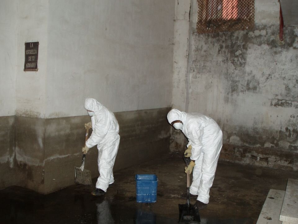 Images External Fachadas