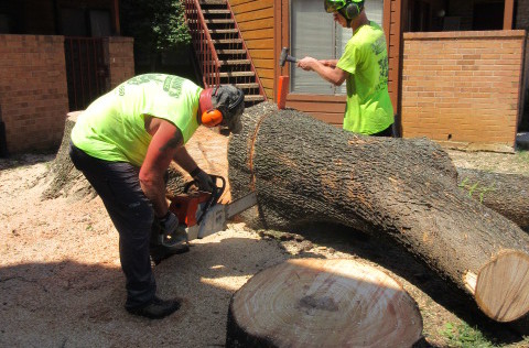Aaron's Tree Service Inc.