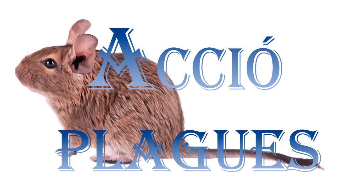 Images Acció Plagues
