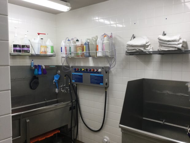 Images Petco Grooming