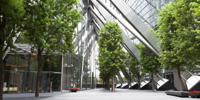 Let us take over your commercial tree services for trees that are strong, healthy and great for your commercial property.