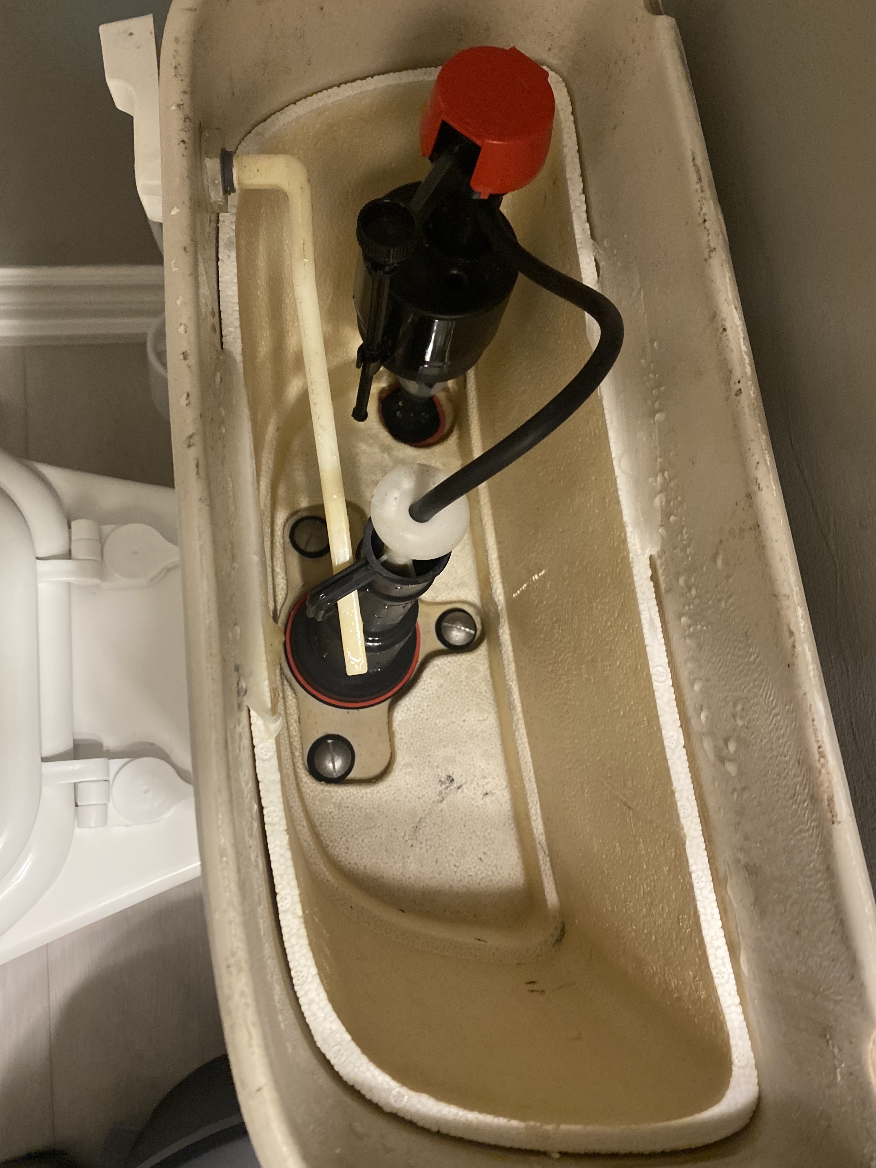 Images DrainCam Plumbing