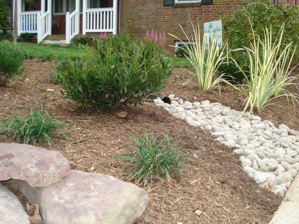 Stone Drainage in a Garden