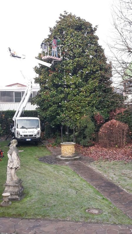 Images Idea Verde di Pettenuzzo Stefano