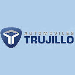Taller De Reparación Trujillo S.L. Logo