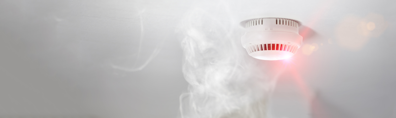 WSS GmbH, Wiesenstrasse 35 in Mülheim