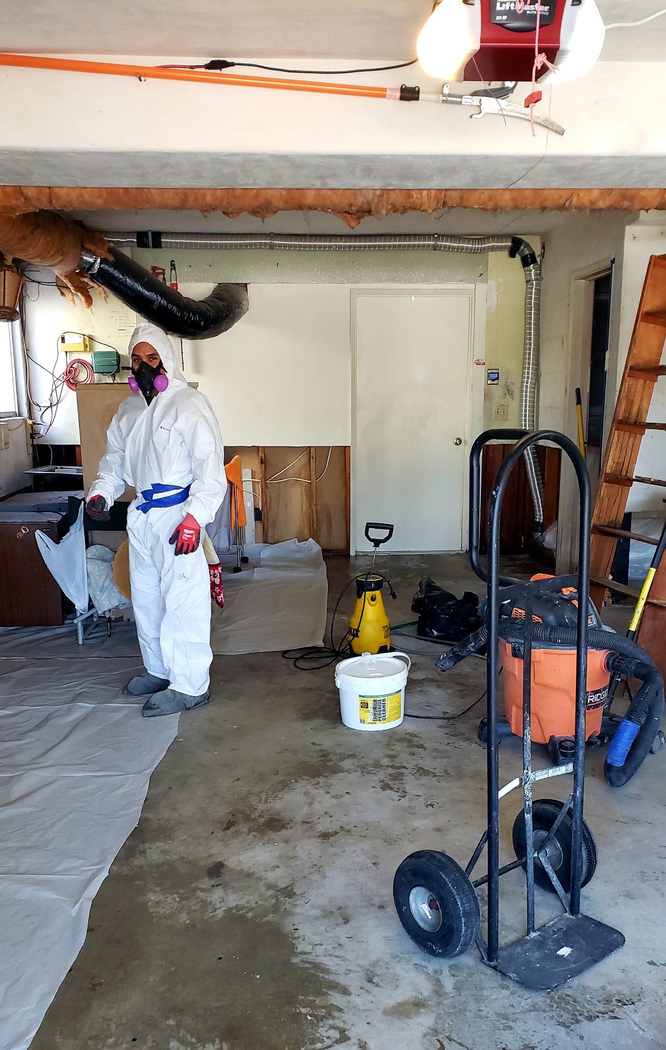Sewage cleanup
