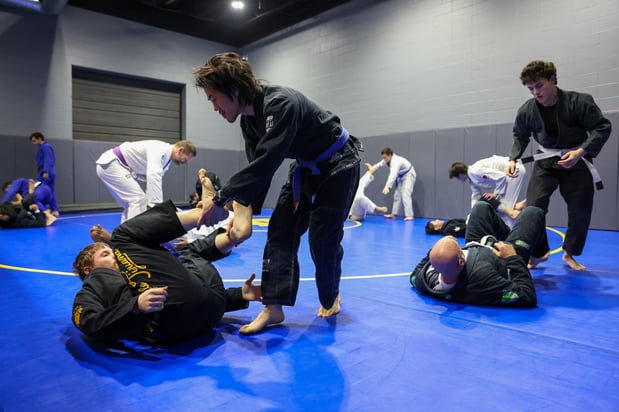Images Hamel Jiu Jitsu Club