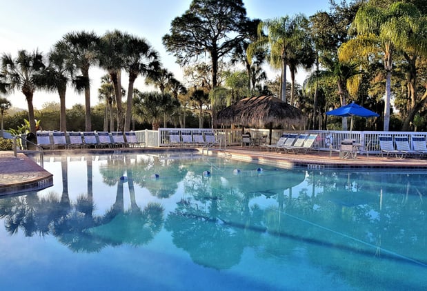 Images Encore Royal Coachman