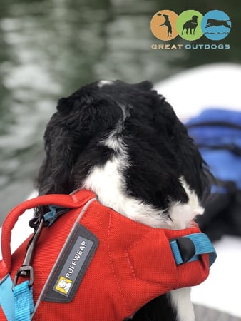 Images Great Outdogs