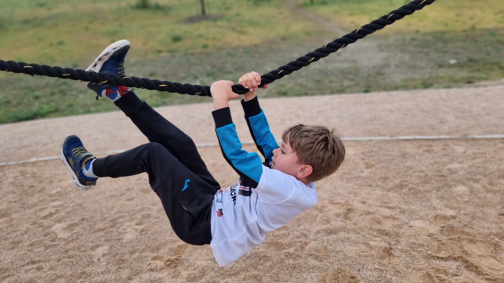 Images Brave Bulls Training