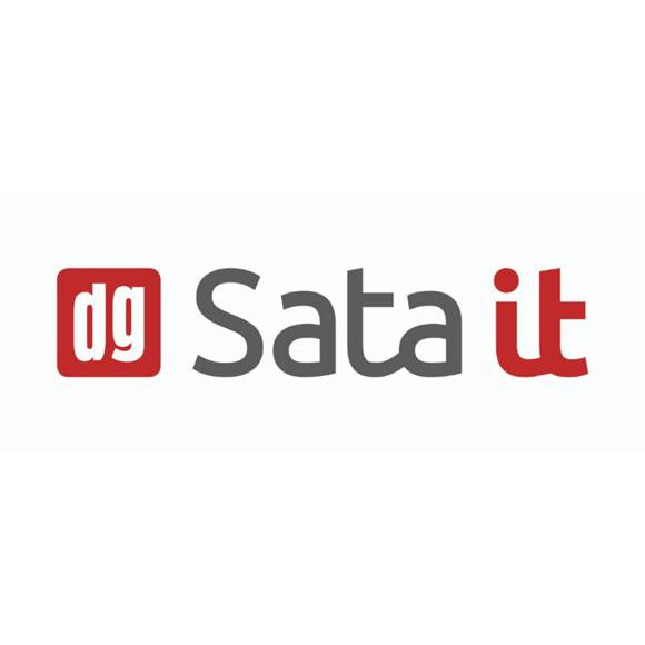 Data Group SataIT, Kotka Logo