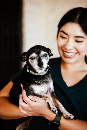 Images Imperial Animal Hospital