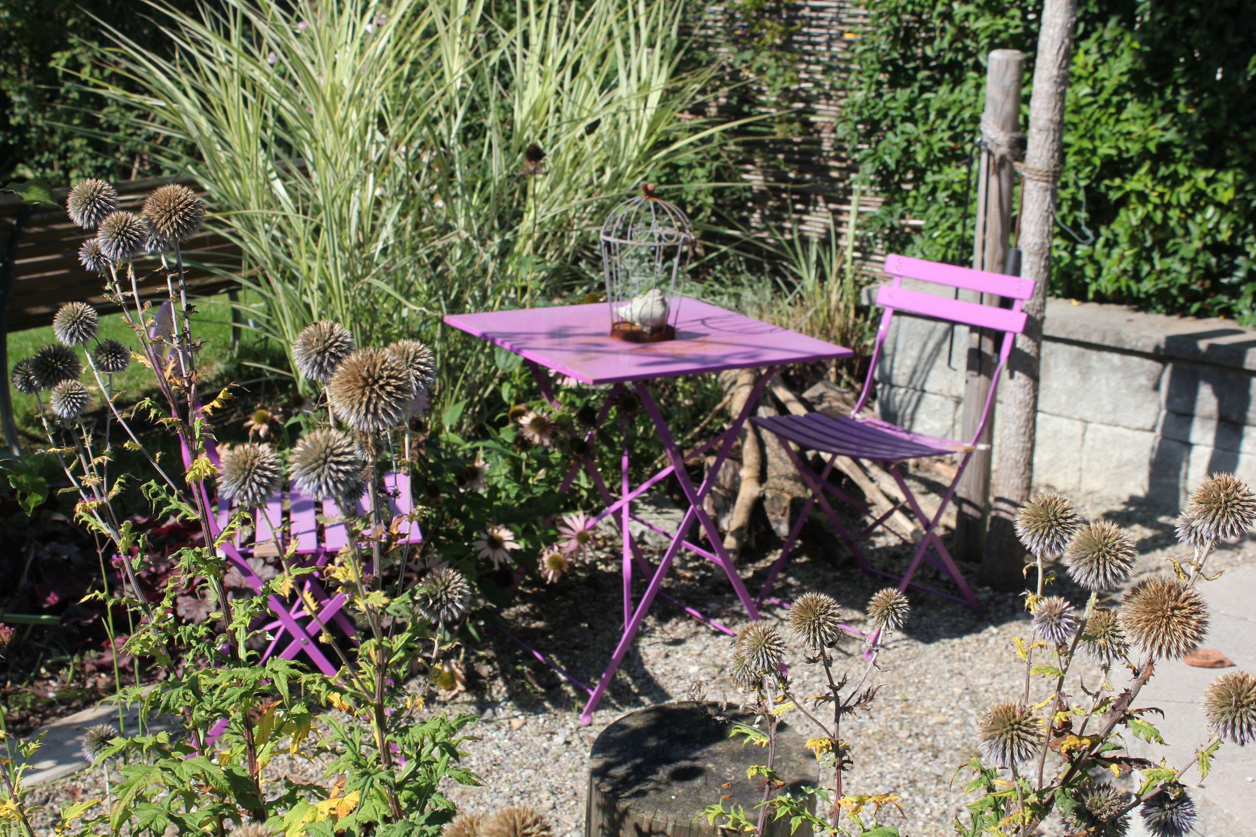 Bilder Artho Gärten AG