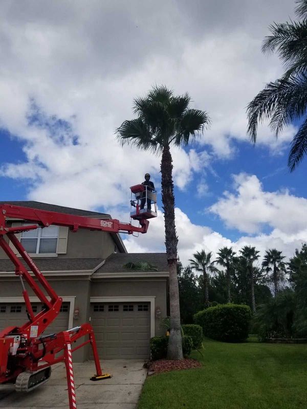 Valid Impressions Tree Service LLC Image