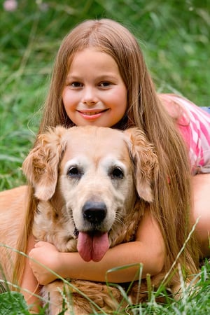 Images Trident Pest Control