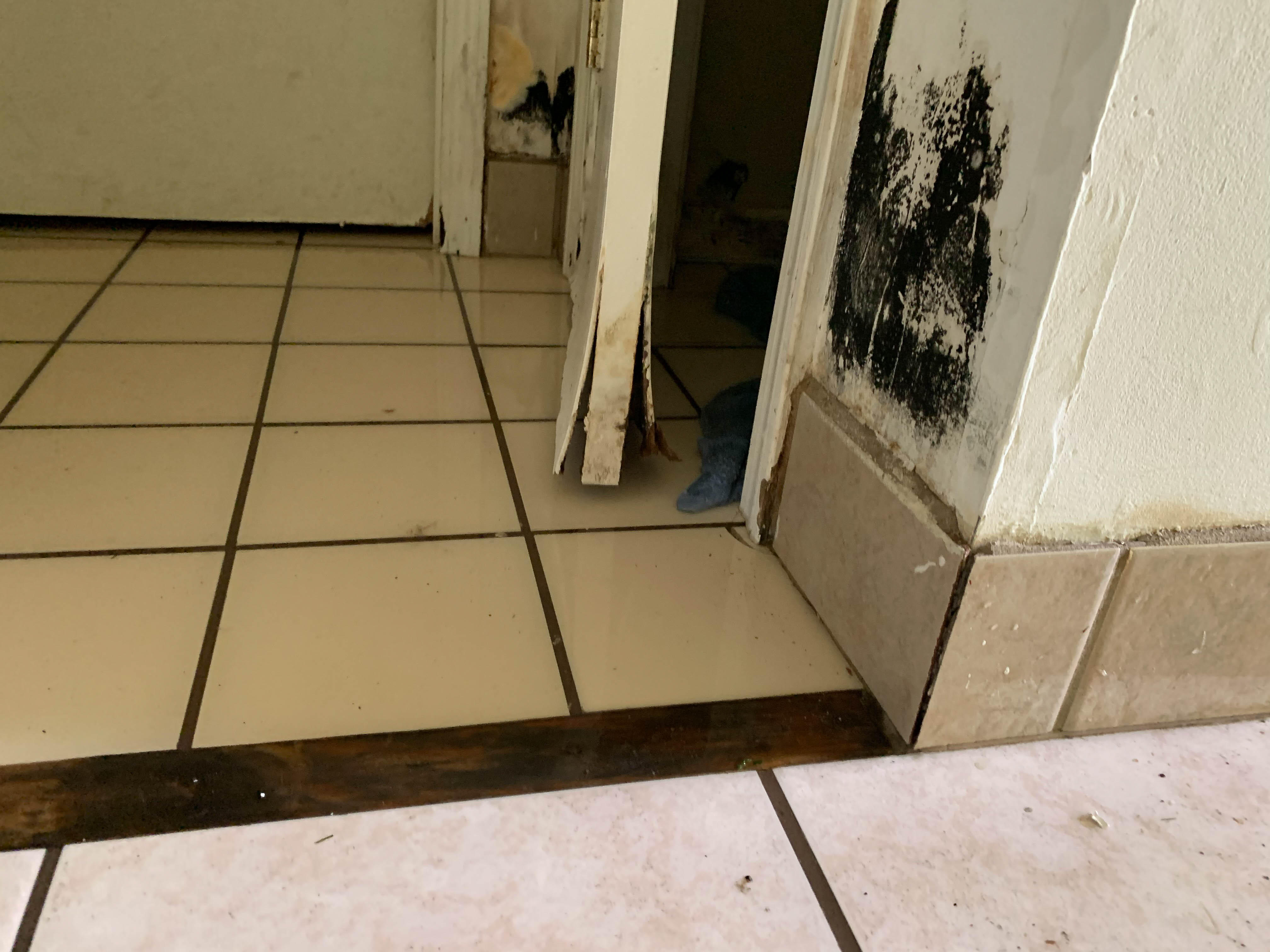 Mold growth is also a form of secondary damage after a water event. If your home has recently suffered any type of water damage, then you should call SERVRO of St. Louis County NW for a professional mold inspection. Give us a call!
