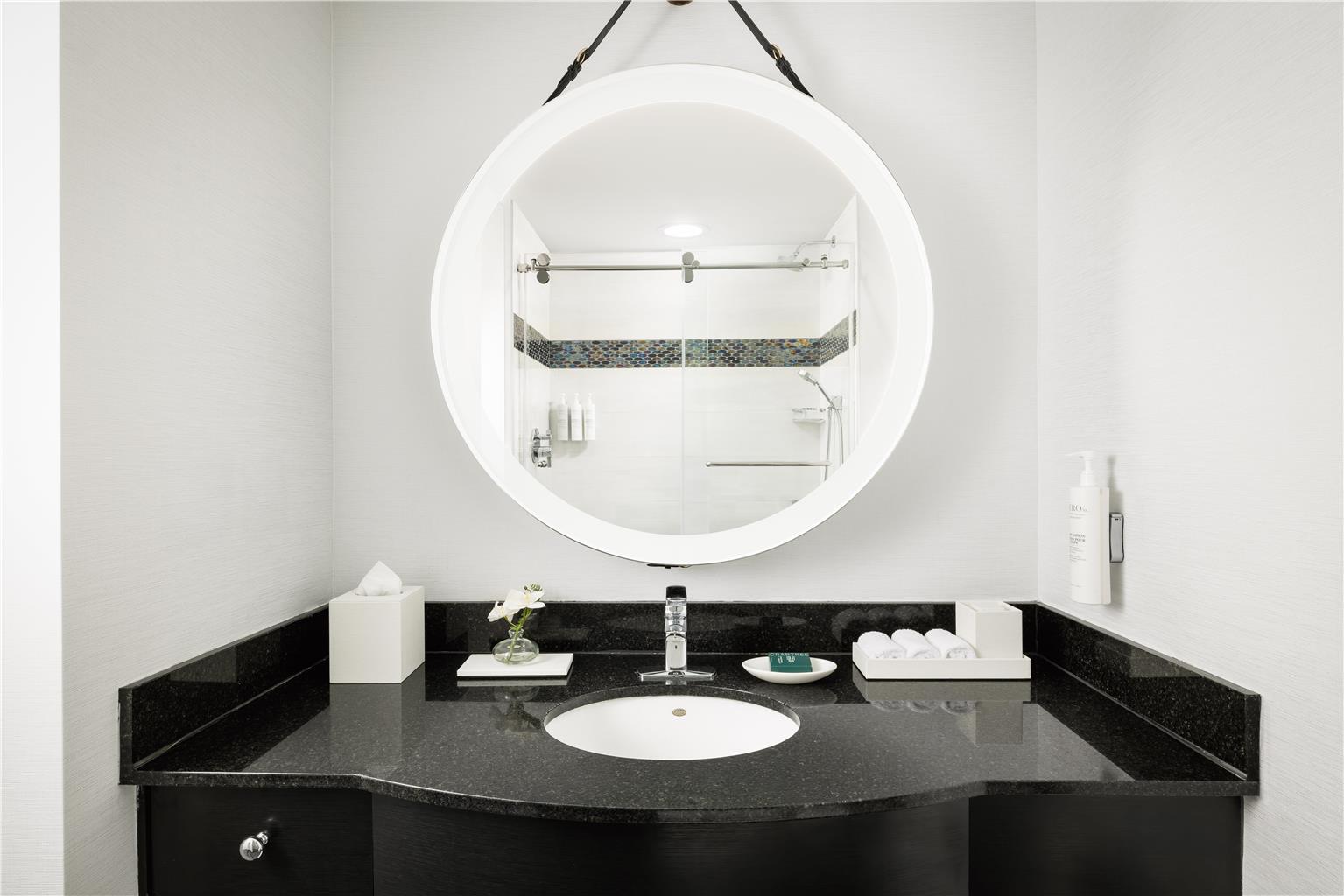Guest room bath 
