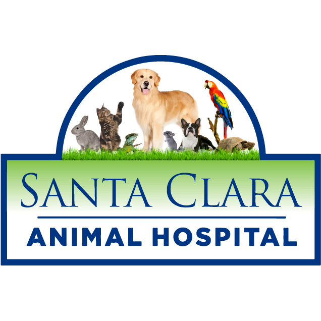 Santa Clara Animal Hospital