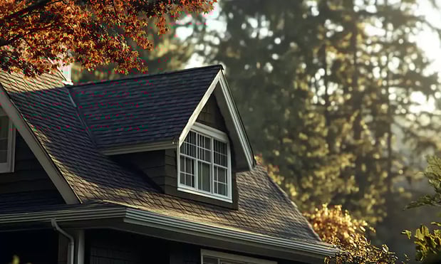 Images Buena Vista Roofing & Construction Inc.