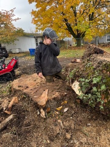 A worker in a helmet with a face shield stands beside a freshly cut, wide tree stump in a yard, with autumn foliage, a red machine, and neighboring buildings behind.