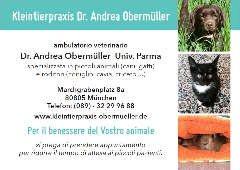 clienti italiani - Kleintierpraxis Dr. Andrea Obermüller