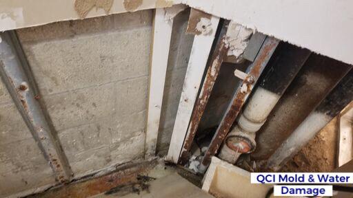 QCI Mold and Water Damage Photo