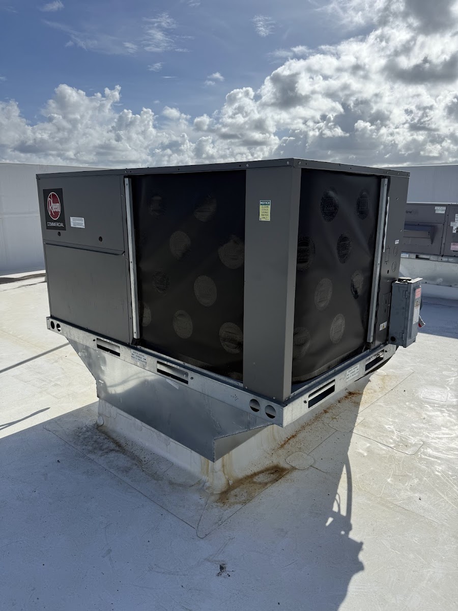 Commercial rooftop HVAC unit installed on a raised curb to provide consistent comfort and long-term system performance.
