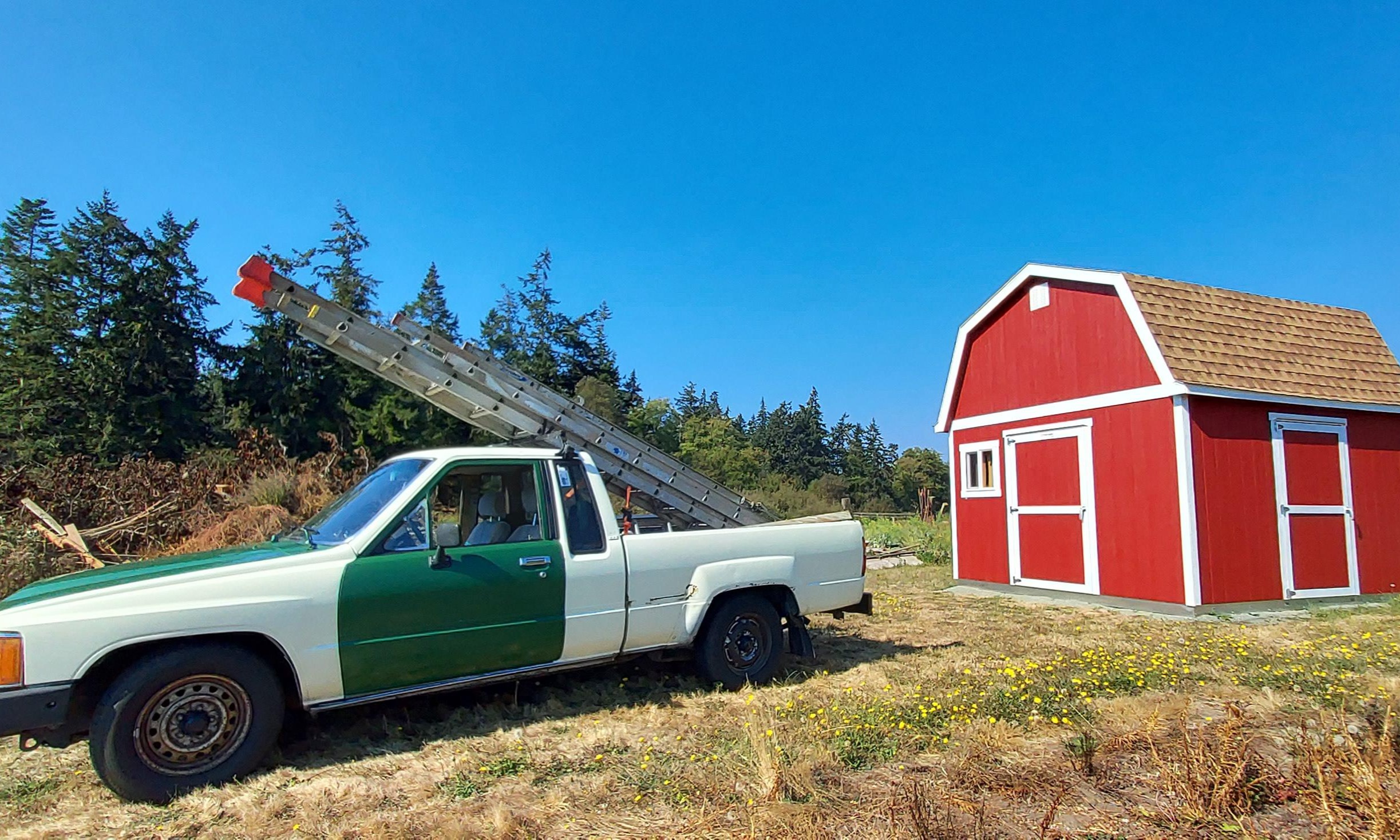 Shed painting? No problem! - Oak Harbor, WA - Call us today 360-929-9689