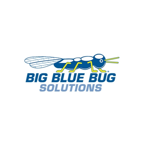 Big Blue Bug Solutions