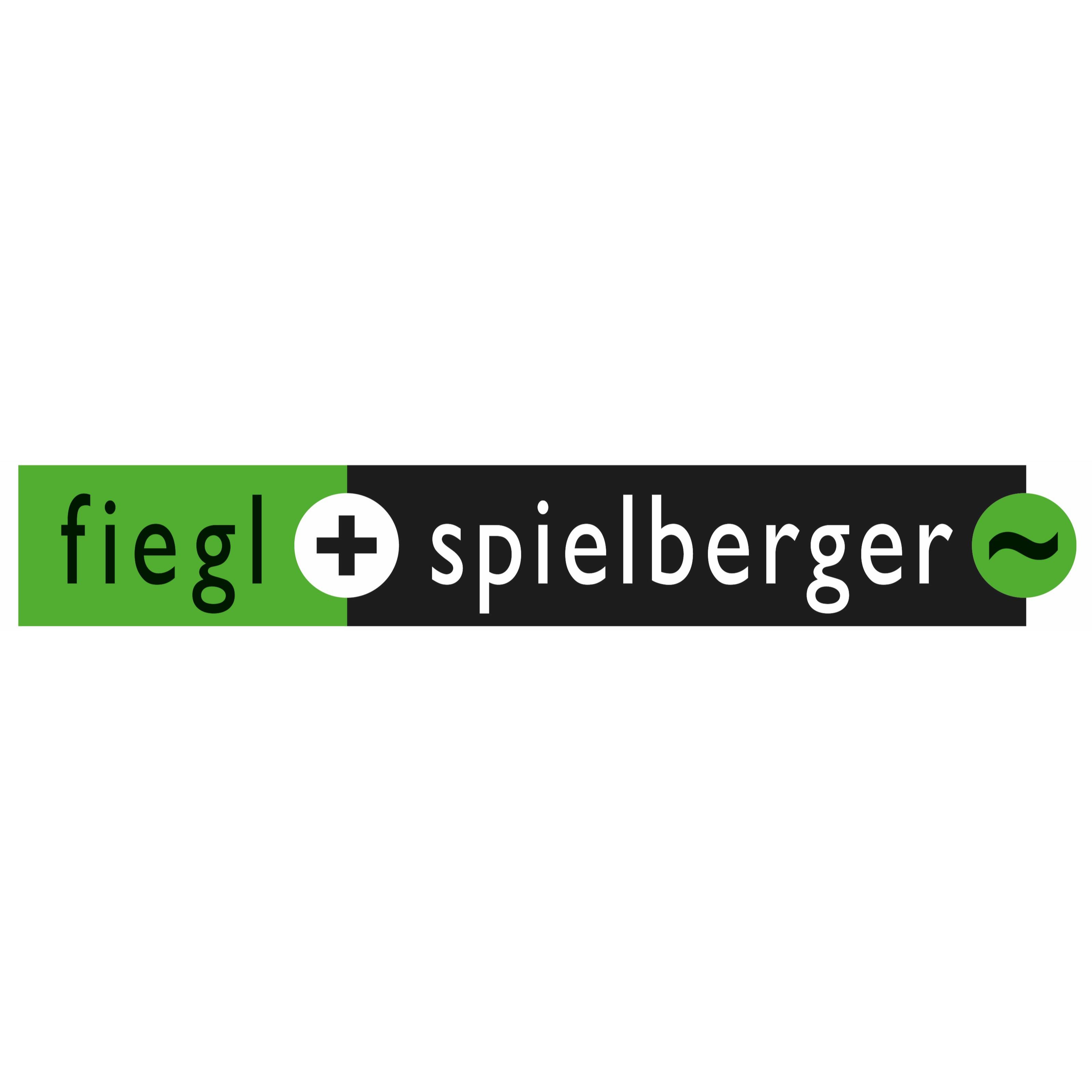 Fiegl & Spielberger GmbH Logo
