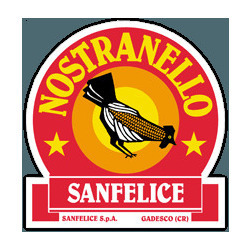 Sanfelice S.p.a. Logo