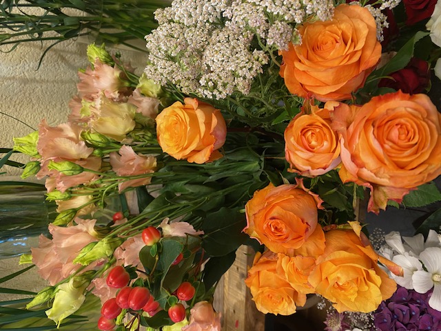 Bilder Fleur Evasion Sàrl